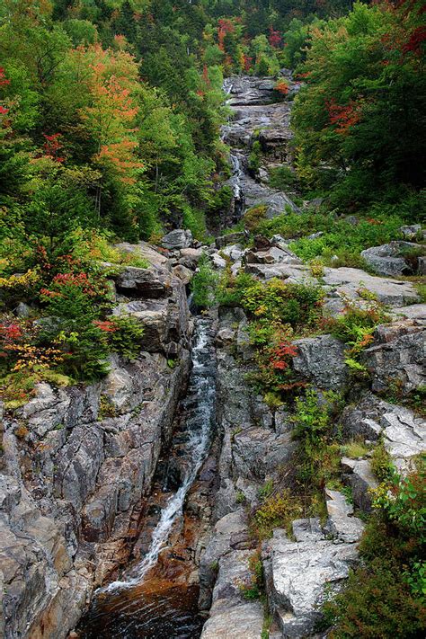 silver flume|Iba pa.
